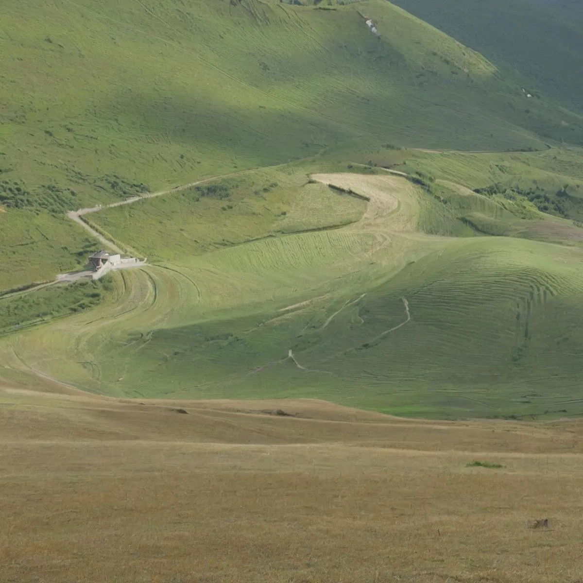 Rolling hills with green fields and a small, isolated house nestled in the hills. AI generated image using Stable Diffusion.