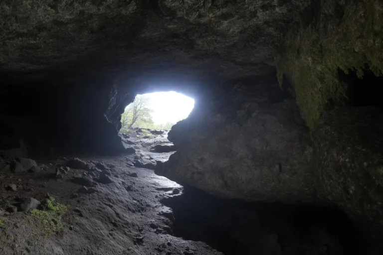 森の中の深淵の薄暗い写真で、岩肌の内部と開口部からの自然光を示している。